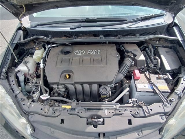 08.jpg