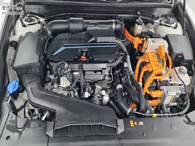 106f97afccc7d5a7c1525379e00d2462.jpeg