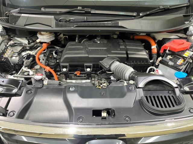 21637769_carP_l_18.jpg