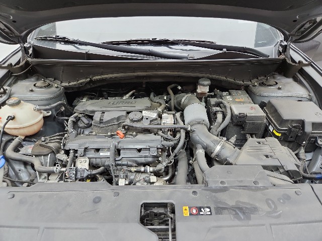 lotterental_211221470_6iK50_6.jpg
