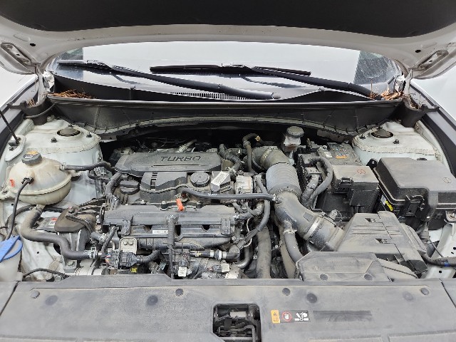 lotterental_095218896_vY1X7_5.jpg