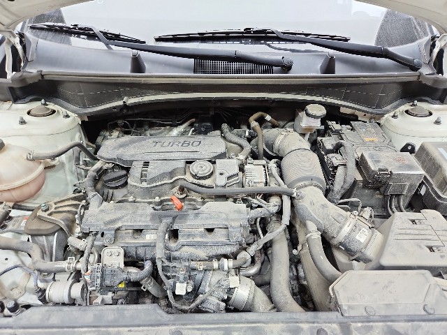 lotterental_204849543_bDA4A_8.jpg