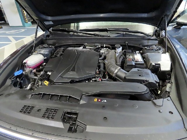0177db80d9ac2421308b1748dd718500.jpeg