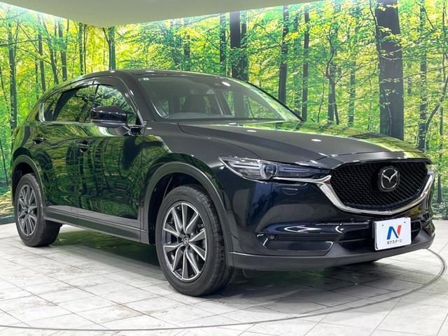 22994098_carP_l_11.jpg