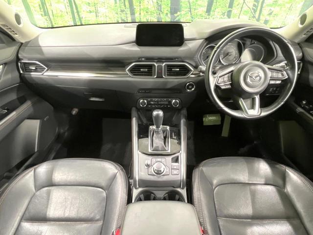 22994098_carP_l_3.jpg