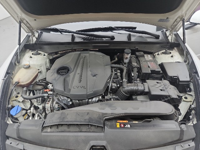 lotterental_103954744_wXgyV_8.jpg