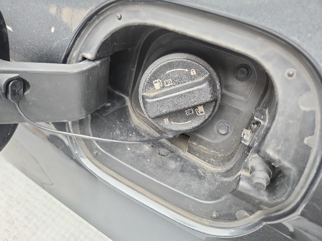 lotterental_104837436_TPals_6.jpg