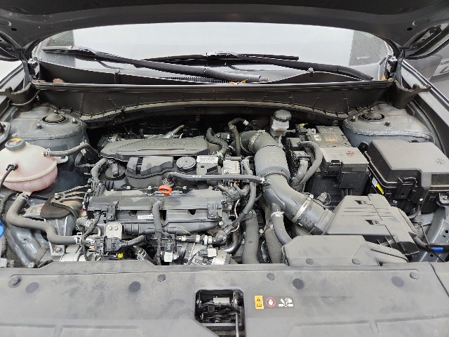 lotterental_113048460_9avnK_5.jpg