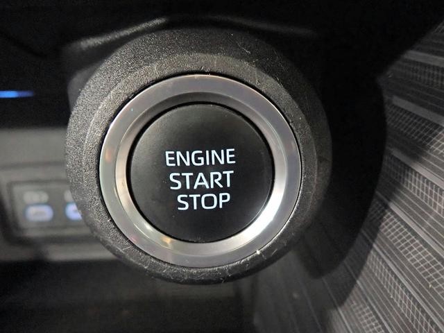 0204644A30261008W00315.jpg