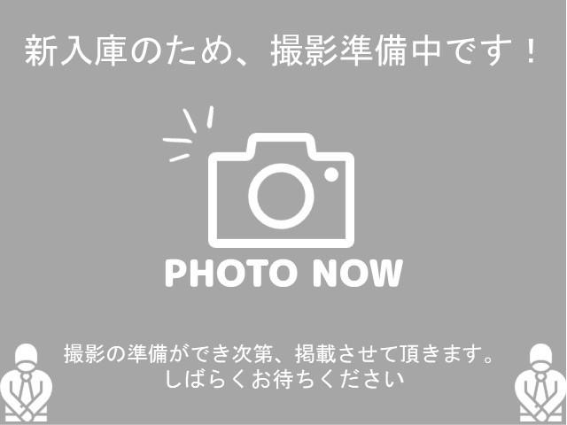 0503759A30261015W00101.jpg