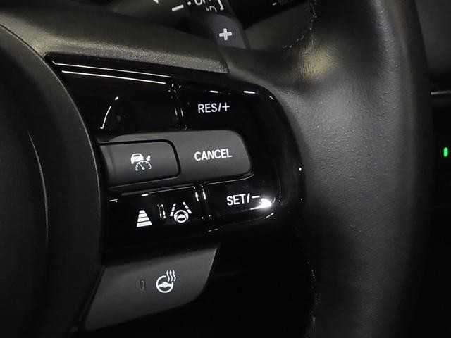 0500075A20260930K00617.jpg