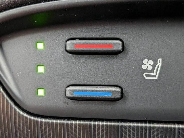 0203985A20261014D00106.jpg
