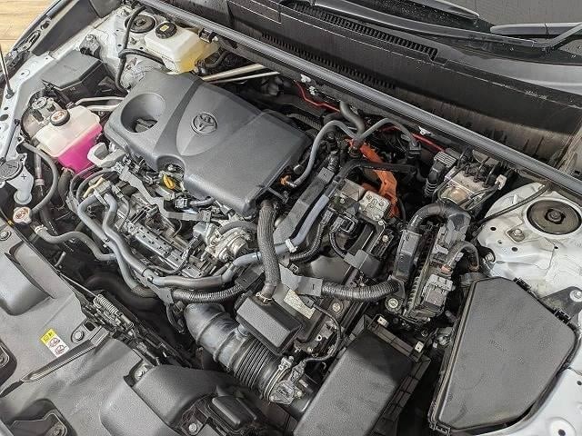 0203985A20261014D00113.jpg