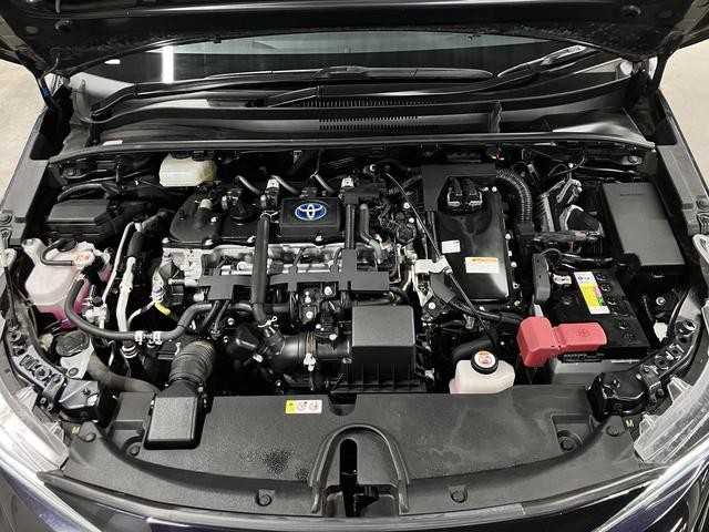 0500075A20261015K00519.jpg