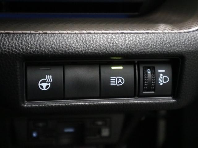 0500075A20261006K02319.jpg