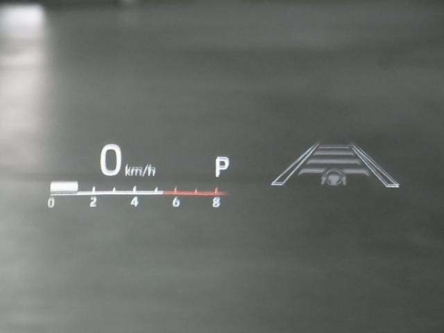 0500075A20261006K02019.jpg