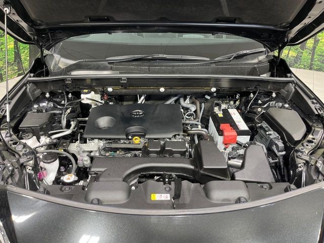 f318c23c76d4ae07f3ae8fe08b18bc2b.jpg