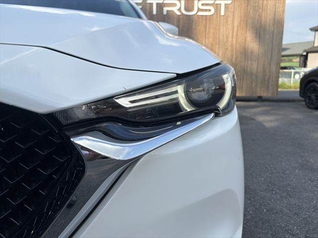 f59075a6c783481ee3e539e0ae952848.jpg