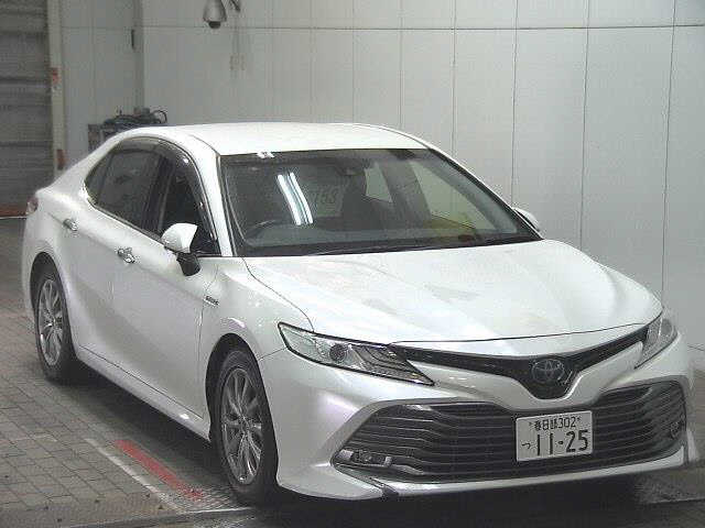af961bfc296a46e58860fde55b721e7d.jpg
