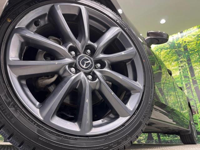 23262347_carP_l_6.jpg