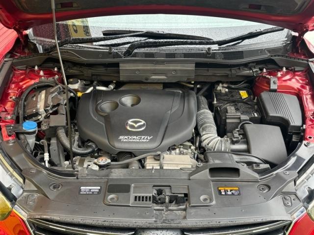 15eeff70d298c8cdfcd3c40ddaa9d835.jpg