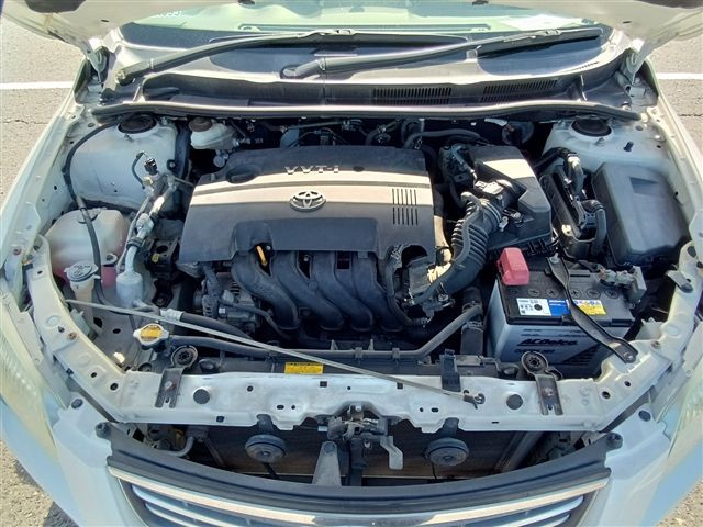 08.jpg