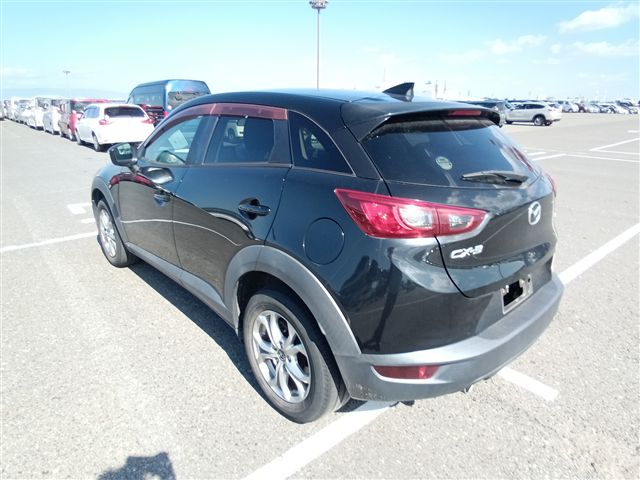 05.jpg