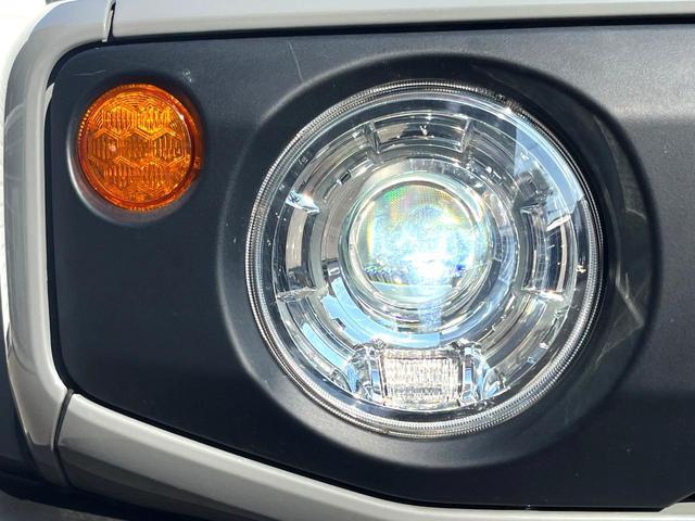 21391930_carP_l_6.jpg