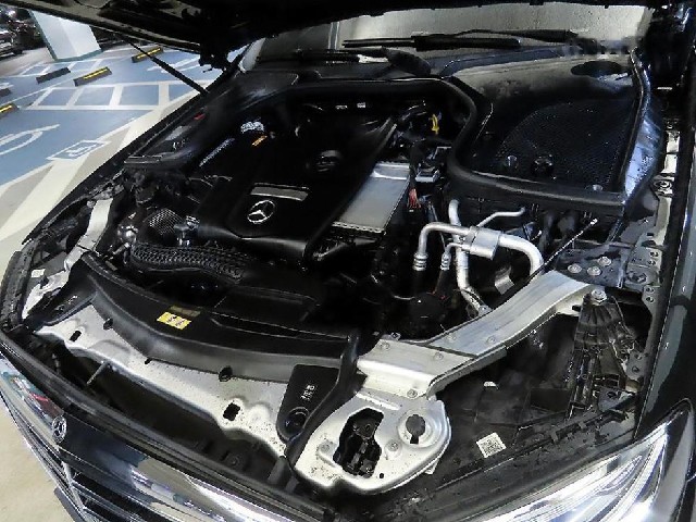 f43508363819eebf04ee59a3929d9f7c.jpeg