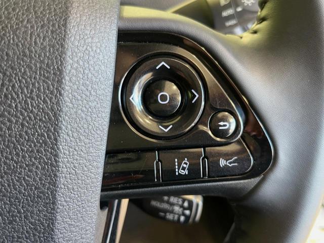 21836516_carP_l_10.jpg