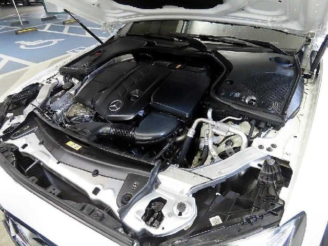 985062a7ae95cc3d35049196dda871f4.jpeg