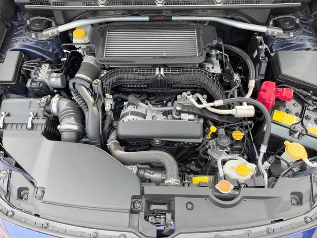 21873596_carP_l_16.jpg