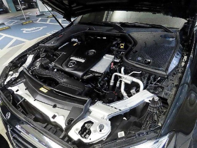 f45090e1390d37f1ccf1861b1279ddf5.jpeg