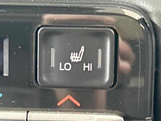 22004012_carP_l_14.jpg