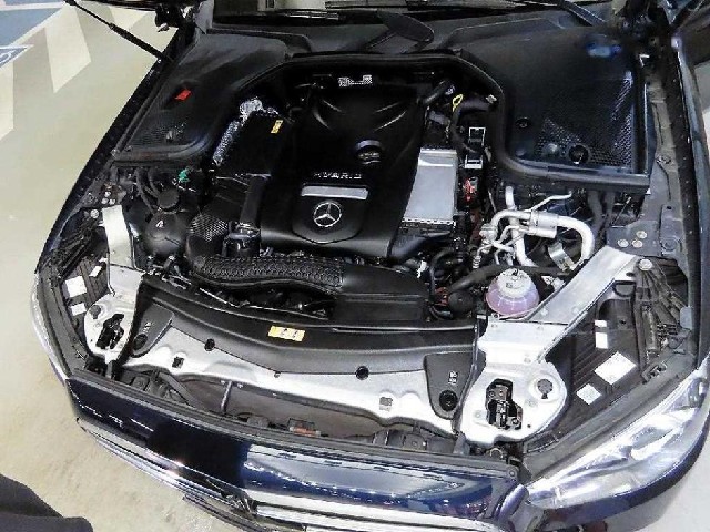 d53ae950ff7c59a43cafd521ae52a151.jpeg