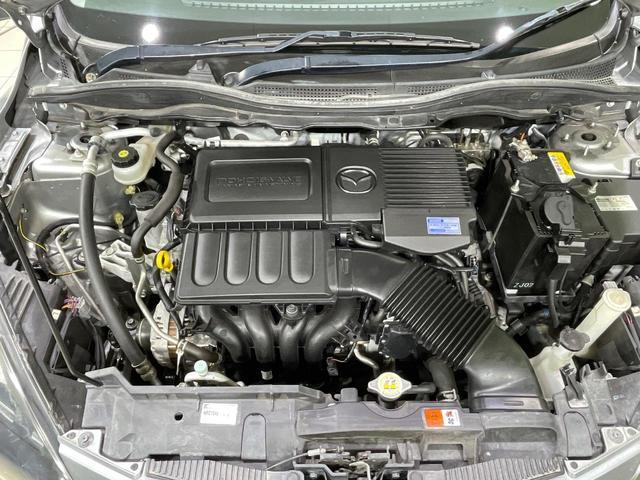 22096357_carP_l_12.jpg