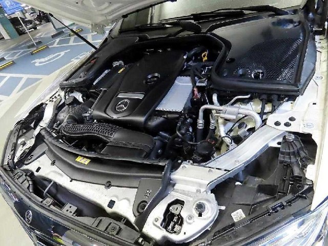82daf165509cc584ebca2a3fa5cd3818.jpeg
