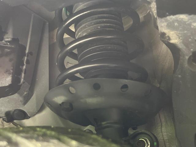 22563385_carP_l_20.jpg
