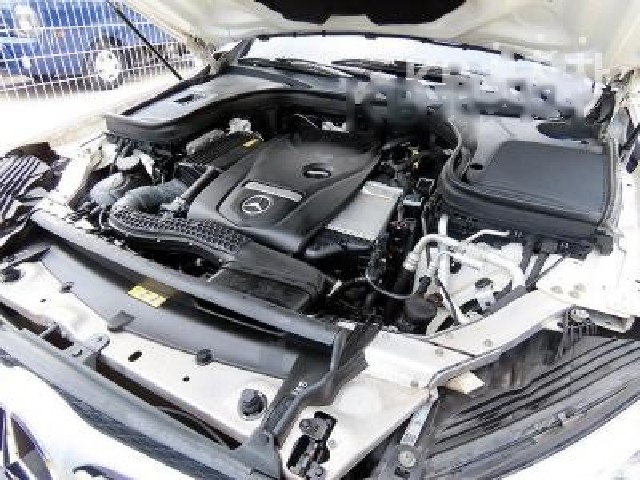 068ecab3f6404ab81c39697b4ffdd701.jpeg