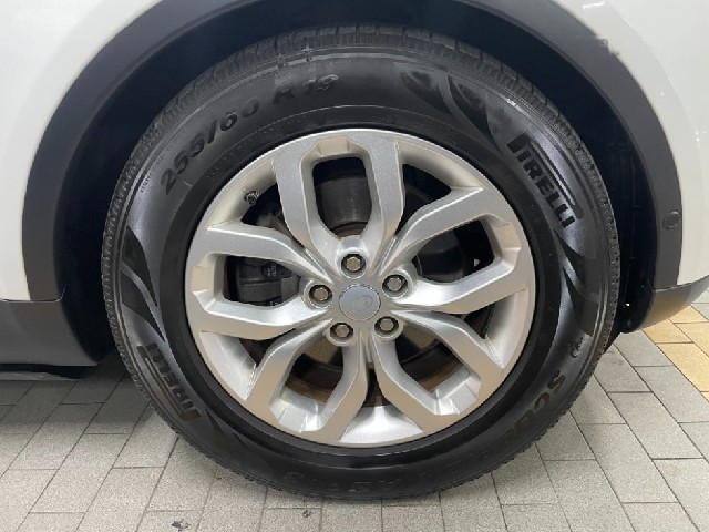 b15e462736ff07512a844d9121c72ed2.jpeg