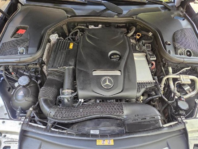 e3120d14b29d92267840e4f2c723a5c5.jpeg