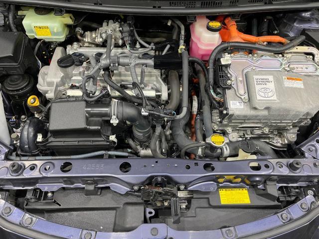 21236949_carP_l_16.jpg