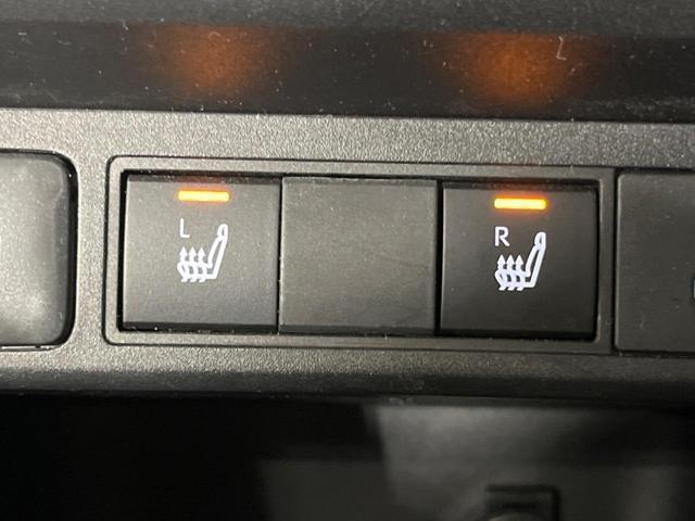 21620622_carP_l_14.jpg