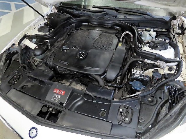 abf4b150f56cae1f30b312f144a56200.jpeg