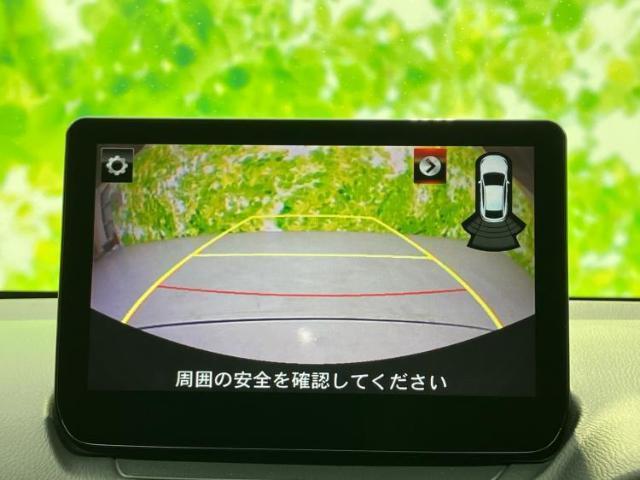 20839312_carP_l_6.jpg