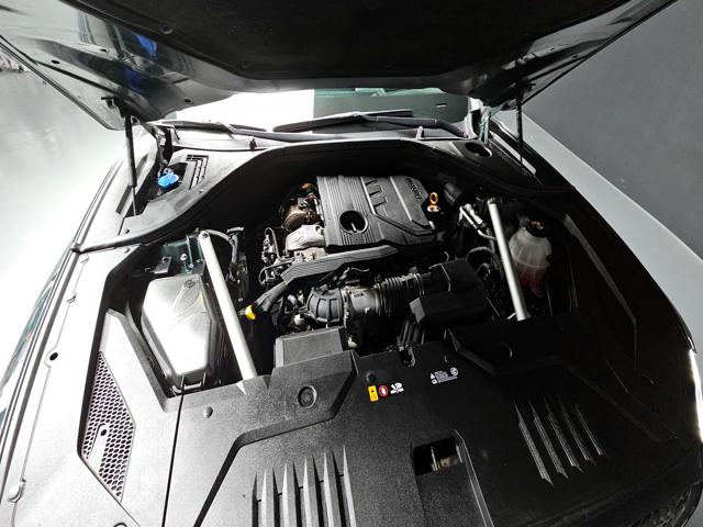 db2064ff1acfc3c646aa3b4afccf6162.jpeg