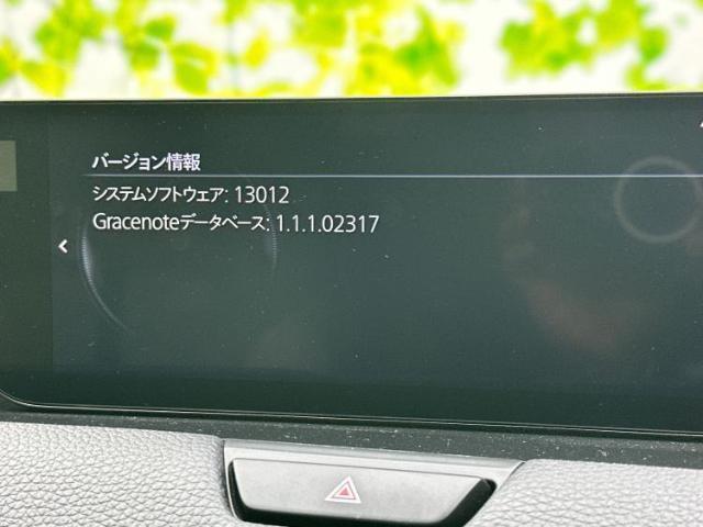 21312580_carP_l_19.jpg