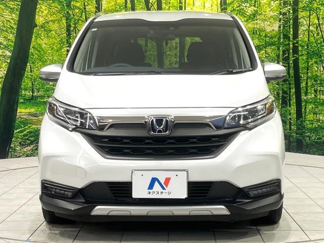 21236909_carP_l_9.jpg