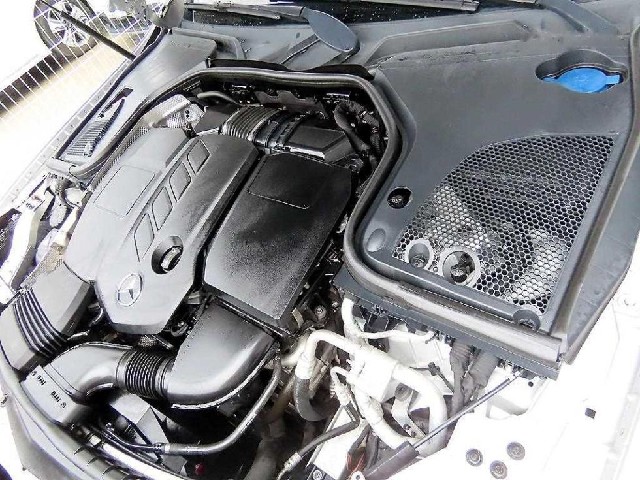 c7914a62eb5a7e4cb7fee56dc714d2c2.jpeg