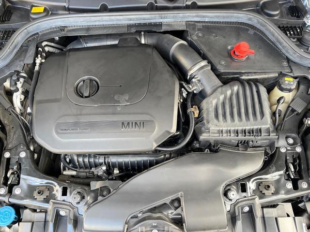 21565621_carP_l_12.jpg